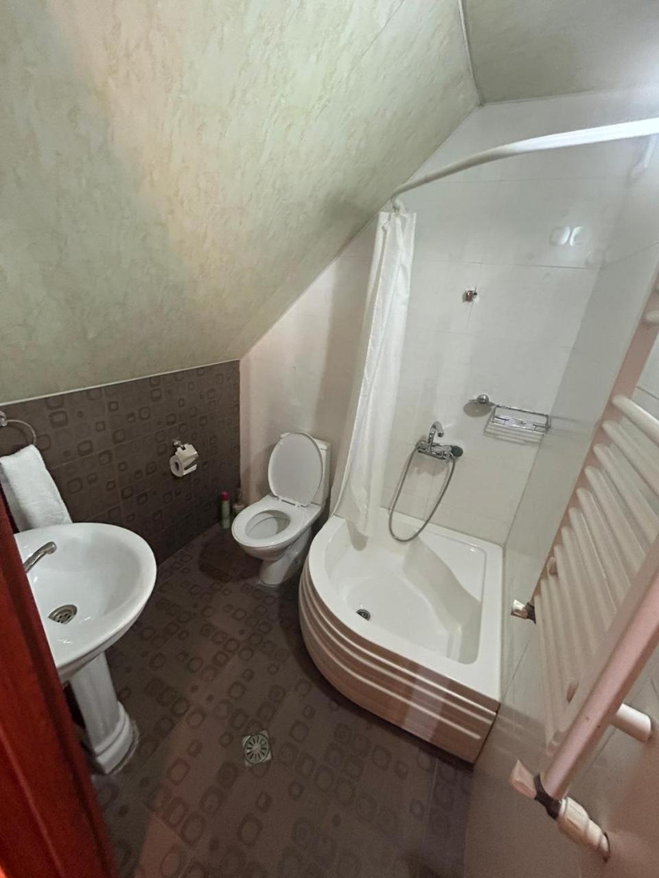 New Shino Gudauri Hotel ภายนอก รูปภาพ